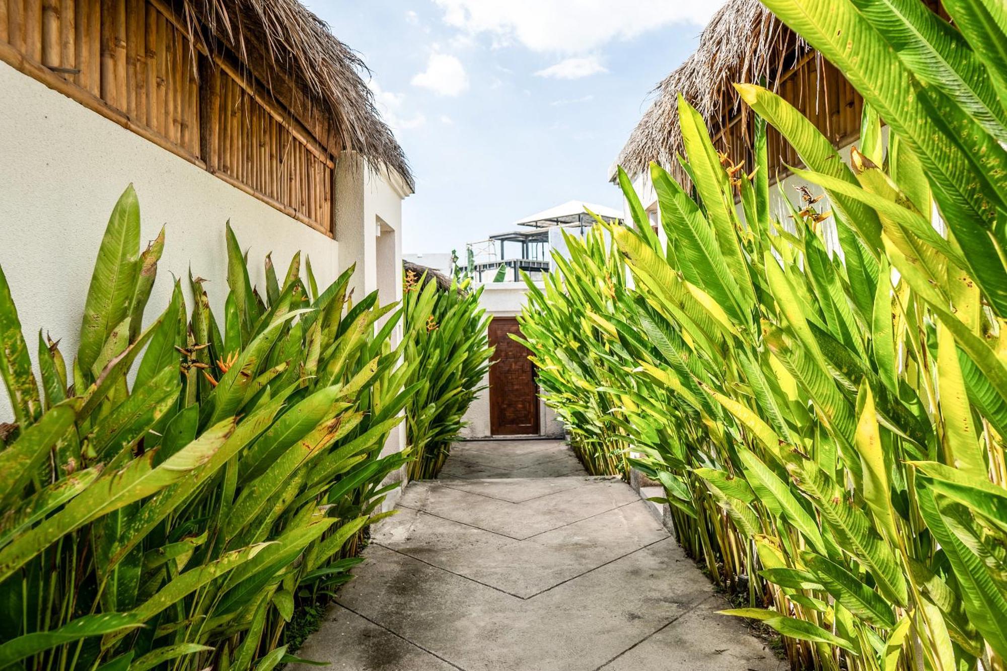 Kiki Village Paddy Field تْشانغو المظهر الخارجي الصورة